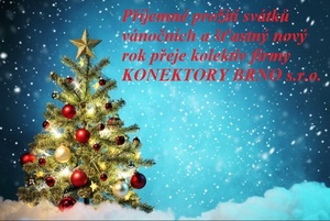 Veselé Vánoce a šťastný Nový rok